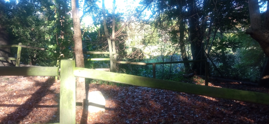 To Let 1 Bedroom Property for Rent in Constantia Western Cape